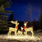 3-Piece Lighted Christmas Deer Set Outdoor Decor with LED Lights