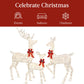 3-Piece Lighted Christmas Deer Set Outdoor Decor with LED Lights