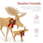 2-Piece Moose Family Lighted Outdoor Christmas Decoration Set w/ 170 Lights