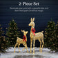 2-Piece Lighted Christmas Deer Family Outdoor Decor Set with LED Lights