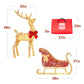 Lighted 2D Outdoor Christmas Reindeer & Sleigh Set w/ Warm White LED Lights